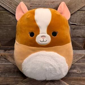 NWT - Garret, The Guinea Pig, Brown & White, Original Plush Squishmallow, 11”